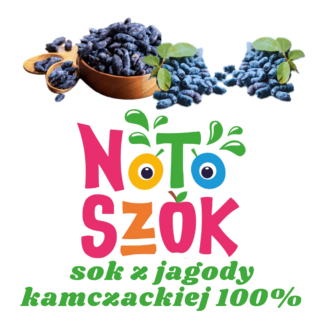 Sok z JAGODY KAMCZACKIEJ 100% 2L - wkład 1szt.