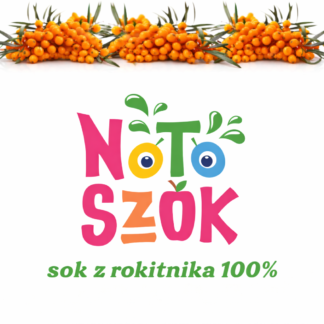 Sok z ROKITNIKA 100% 2L - wkład 1szt.
